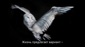 Наверно ты простил меня. Автор читаете стихи на фоне картин боди-арт Гезине Марведель