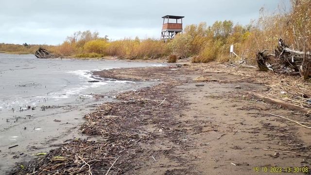 Ворон_ФГБУ Нижне-Свирский заповедник