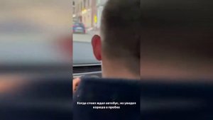 ЛИТВИН ПОЛУЧИЛ ПО МОРДЕ В БОКСЕ