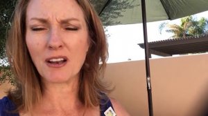 Tomatoes and Eggplant in Dedicated Containers