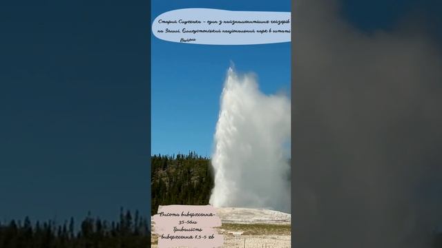 Old Faithful( Старий Служака), Єллоустонський парк