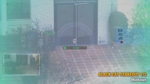 Marvel's Spider-Man (PS4) - Collectibles - All Black Cat Stakeouts