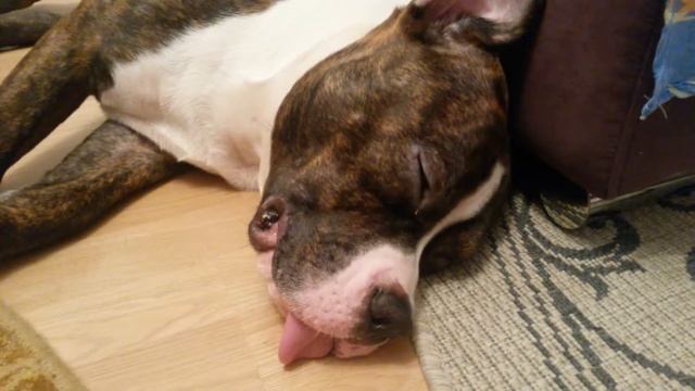 Что-то вкусненькое снится смотреть онлайн