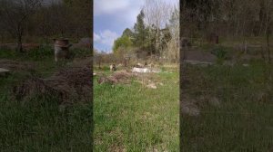 Копаем металл 19