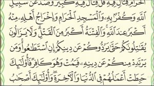 Урок № 11  Красивое чтение суры  аль Бакара , аяты 211 224  #коран #нарзулло #АрабиЯ