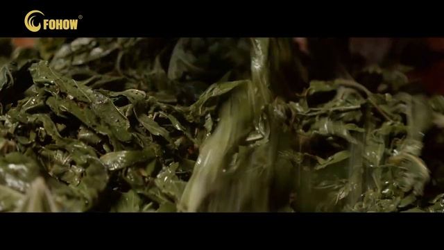 Легенда о чае «SHUN CI» Fohow Фохоу