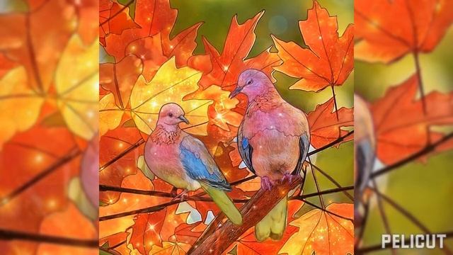 С Днём рождения Катя !? смотреть онлайн