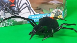 Zuru Robo Alive Robotic Crawling Spider toy Unboxing - Moves Like a Real Spider ?
