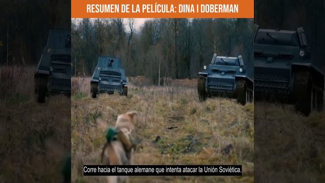 Resumen de la película: DINA I DOBERMAN смотреть онлайн
