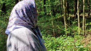 21.05.2023. Старое кладбище в пгт Подосиновец. Подосиновский район. Кировская область.