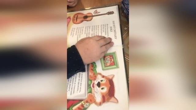 Любимые питомцы
