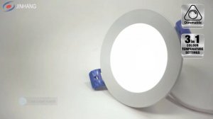 LED IC Downlight 70mm