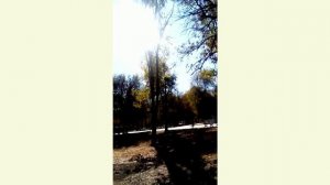 Гуляем по городскому парку. Невинномысск.