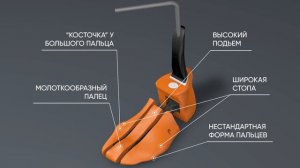 Растяжка обуви. BOTFITTER - точная копия стопы! Анимация Сайт_ bootfitter.ru
