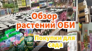 Что завезли в ОБИ и покупки для сада: семена цветов, стеллажи!!