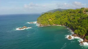 Владыка неба и земли - Елена Сальникова