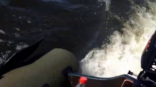 Лодка Polaris 260 и мотор Tohatsu 2.5 смотреть онлайн