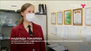 УК готовит иск в суд на тюменца из-за антисанитарии и тараканов в квартире