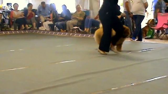 M2U00558 смотреть онлайн