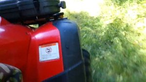 Езда по лесу на квадроцикле Honda TRX 350
