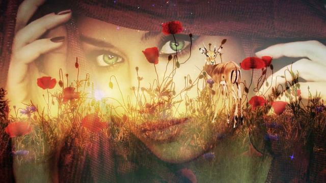 Живет такая где то на земле... Сонеты. Эд Чернухин смотреть онлайн