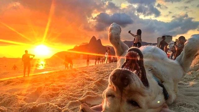 Как получать радость от жизни! смотреть онлайн