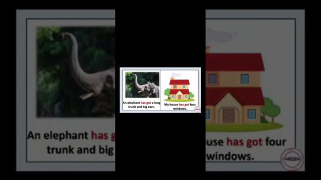 Unit 4: Grammar: "Have got" смотреть онлайн