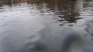 Лодочный мотор Москва 12,5