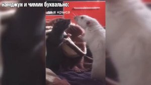 ким намджун ведёт себя как ким намджун на протяжении 12 минут