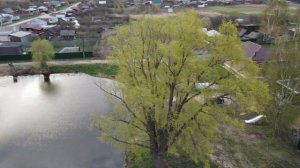 Чистка деревенского пруда. Что из этого вышло?