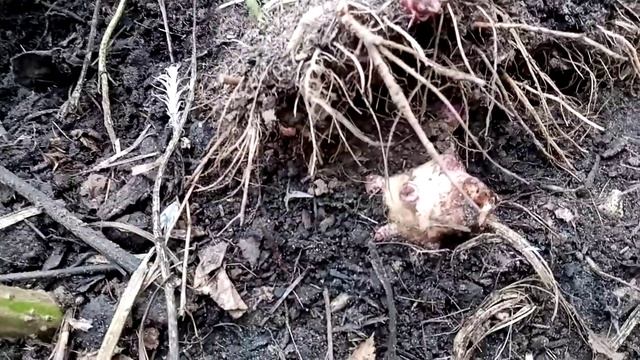 Вы мне рады? смотреть онлайн