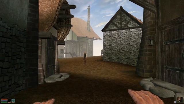 The Elder Scrolls III: Morrowind. Часть 1. -  Говорят, мы приплыли в Морровинд.