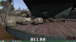 Белка мод представляет Веселый вагончик