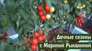 Дачные сезоны с Мариной Рыкалиной