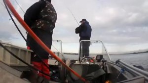 Второй этап Pro Anglers League 2013. Маленькая резинка