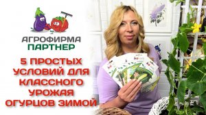 5 простых условий для классного урожая огурцов зимой