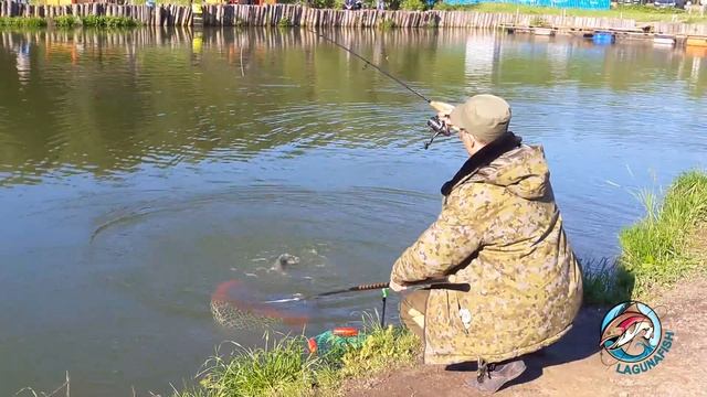 Как легко поймать форель. Нижний пруд ПРиО Лагуна. смотреть онлайн