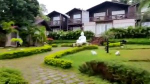 Stone Wood Resort , Goa