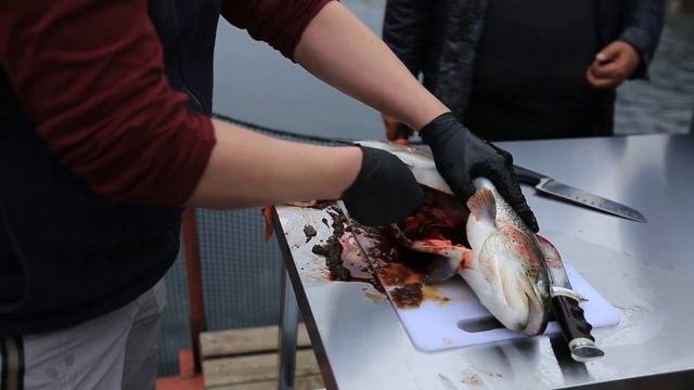 В каких условиях выращивается горная радужная форель «Эфтар».