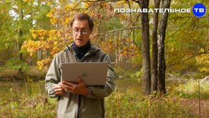 Почему называется СТОЛ и СТОЛБ? (Познавательное ТВ, Артём Войтенков)