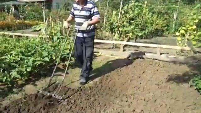 Дачная лопата 2 смотреть онлайн