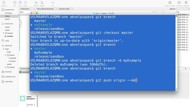 Git (SourceTree) : Delete remote and local branches