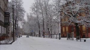 Евгений Кемеровский. Последний снег