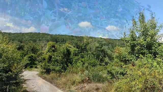 Крымская природа. Красивые виды, куда хочется вернуться. Природа Крыма не повторима.