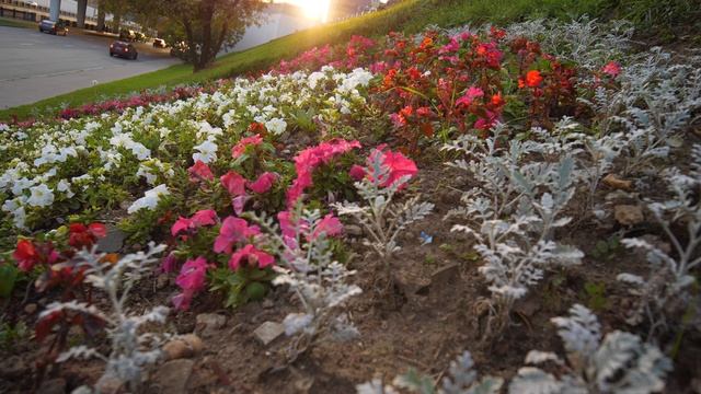 Обзор объектива Laowa 9mm f2.8 с примерами футажей и фото | Широкоугольный объектив без искажений смотреть онлайн