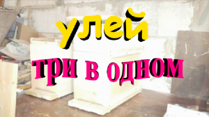 Улей три в одном