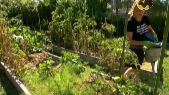 Огород без хлопот - Полив огорода, применение мульчи ( 5 серия ) смотреть онлайн