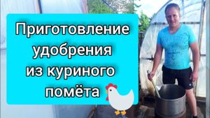 Приготовление удобрения из куриного помета / Как приготовить удобрение из куриного помета
