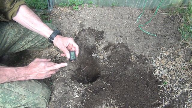 Когда высаживать рассаду томатов в теплицу. Простой и надёжный способ  определения.