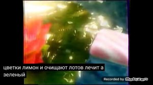 duru мыло 2002 реклама